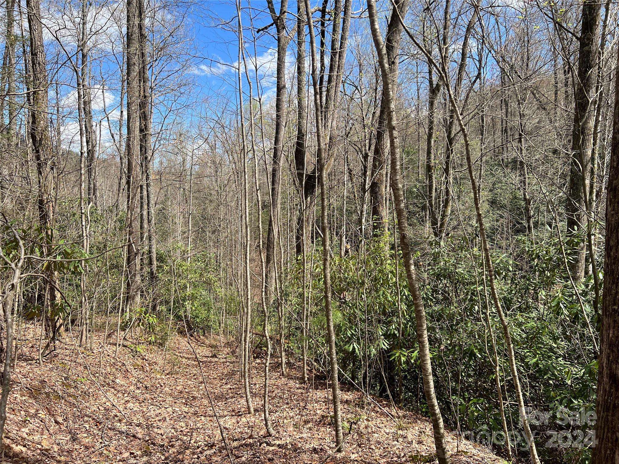 Zirconia, NC 28790,00 Audia Way DR