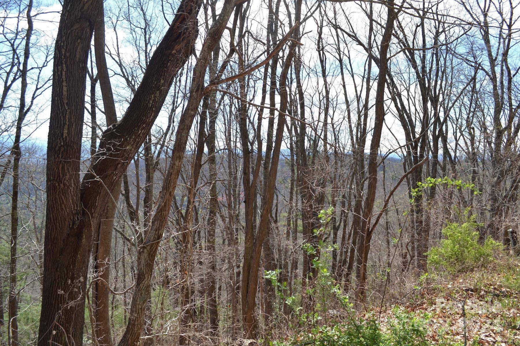 Asheville, NC 28804,Lot 8 Town Mountain RD