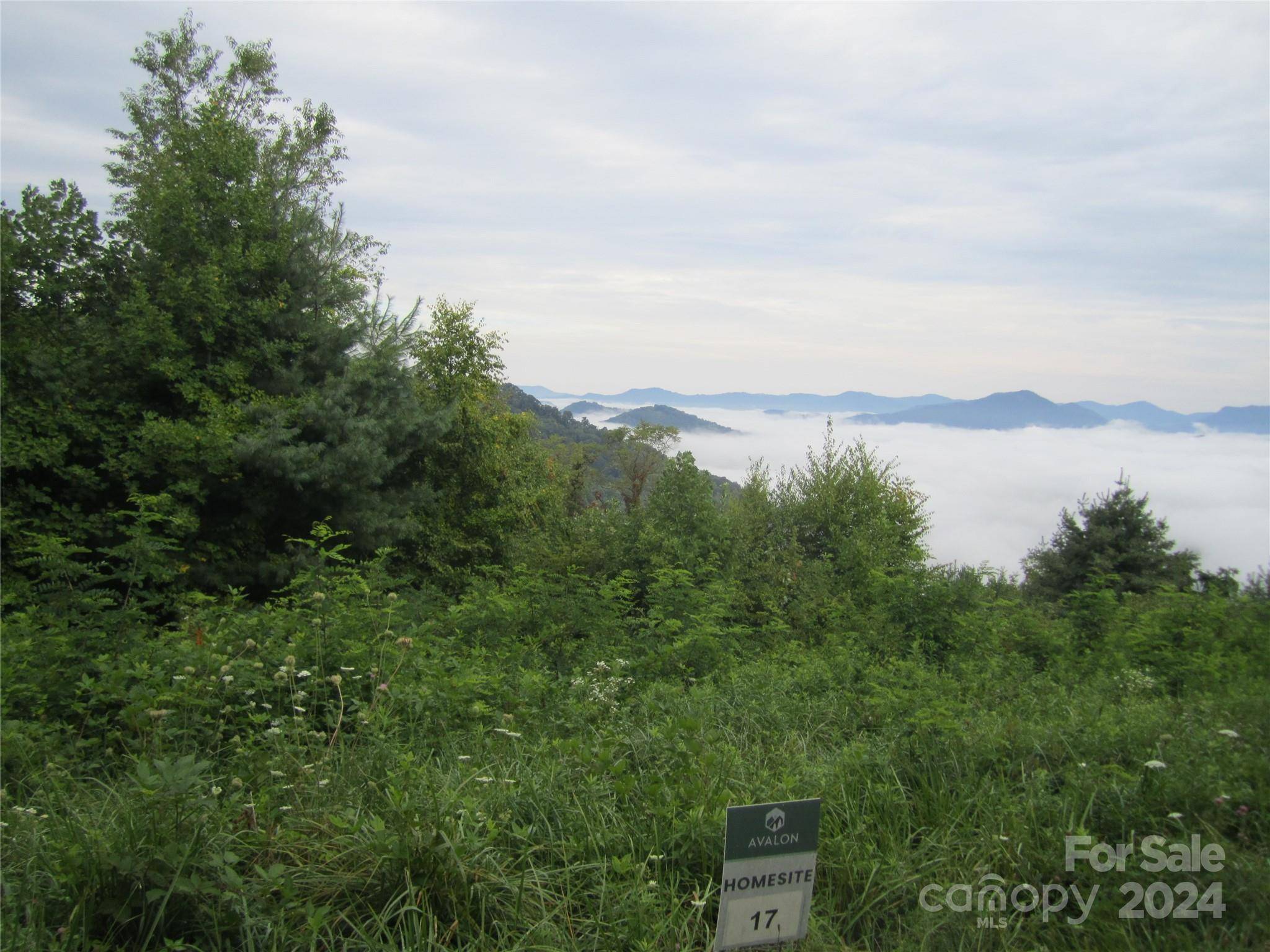 Waynesville, NC 28785,Lot 17 Signature Row BLVD #17