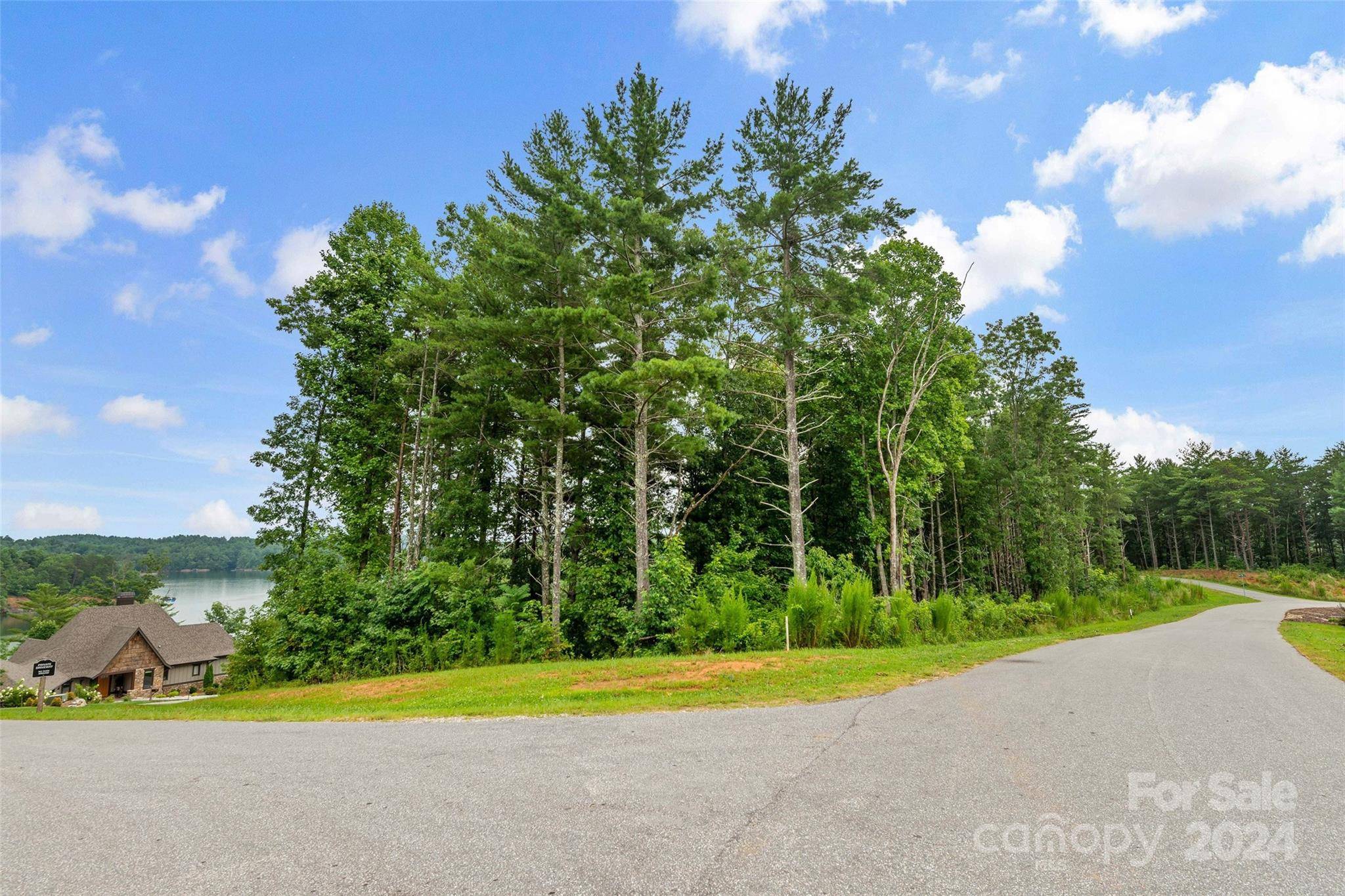 Nebo, NC 28761,153 Gray Ridge View DR #63