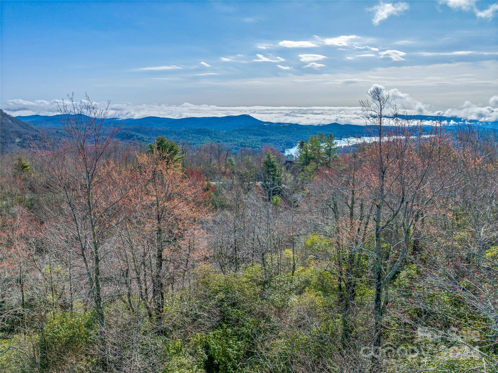 Lake Toxaway, NC 28747,109R Toxaway Mountain DR