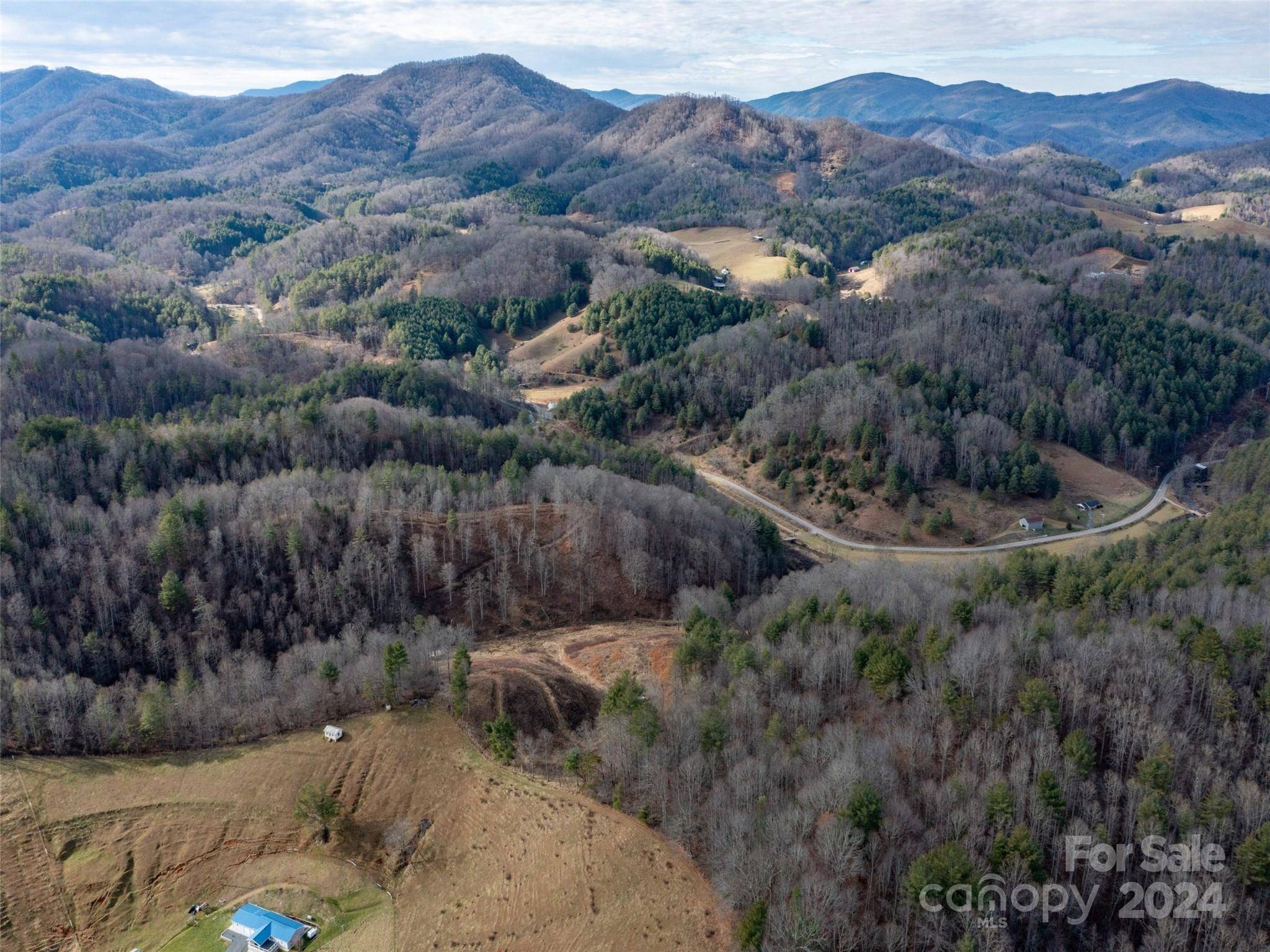 Green Mountain, NC 28740,000 Barnyard LN