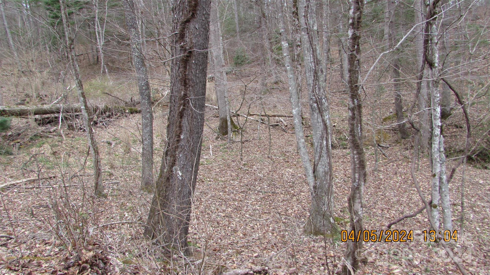 Spruce Pine, NC 28777,000 Deer Park Lake RD