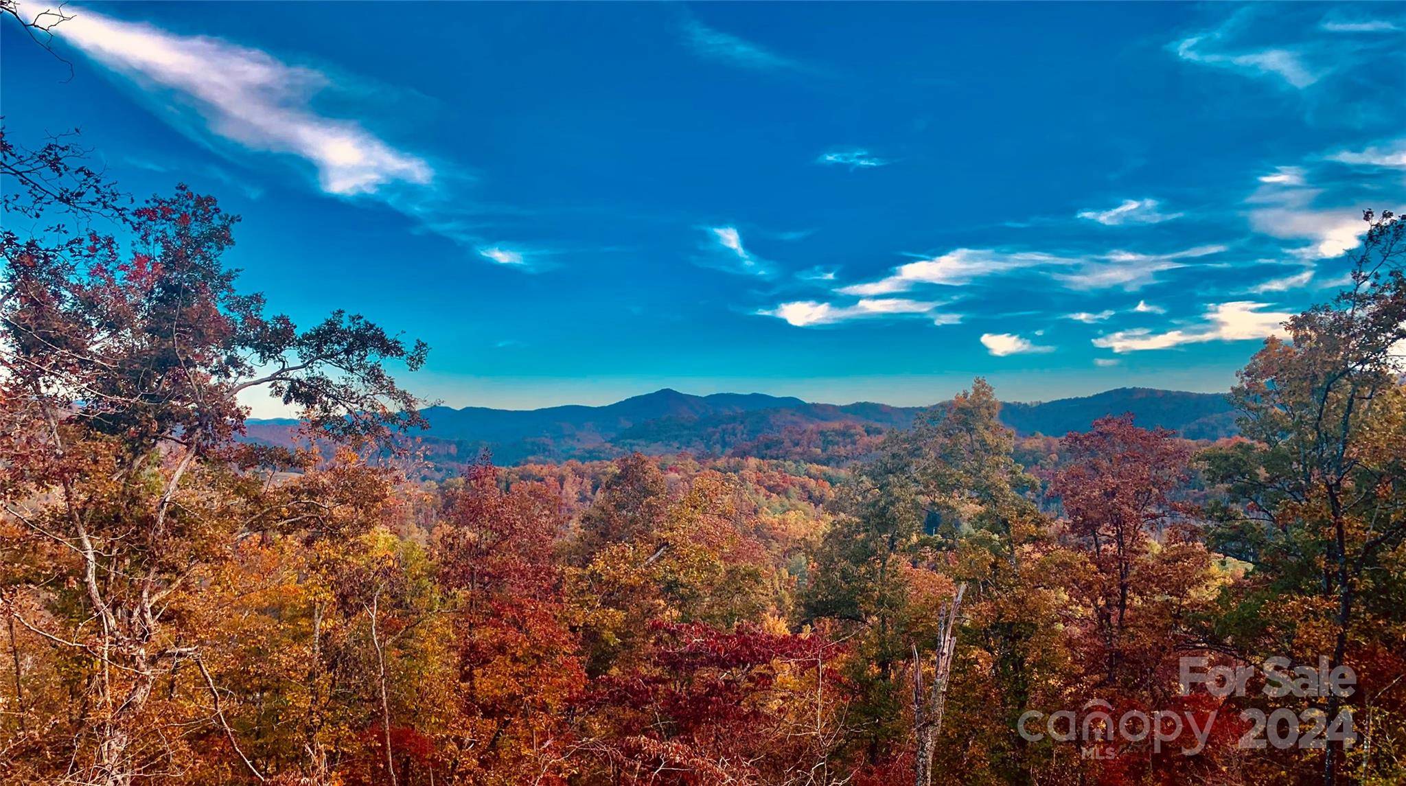 Sylva, NC 28779,Lot 4 Osprey Mountain WAY #4