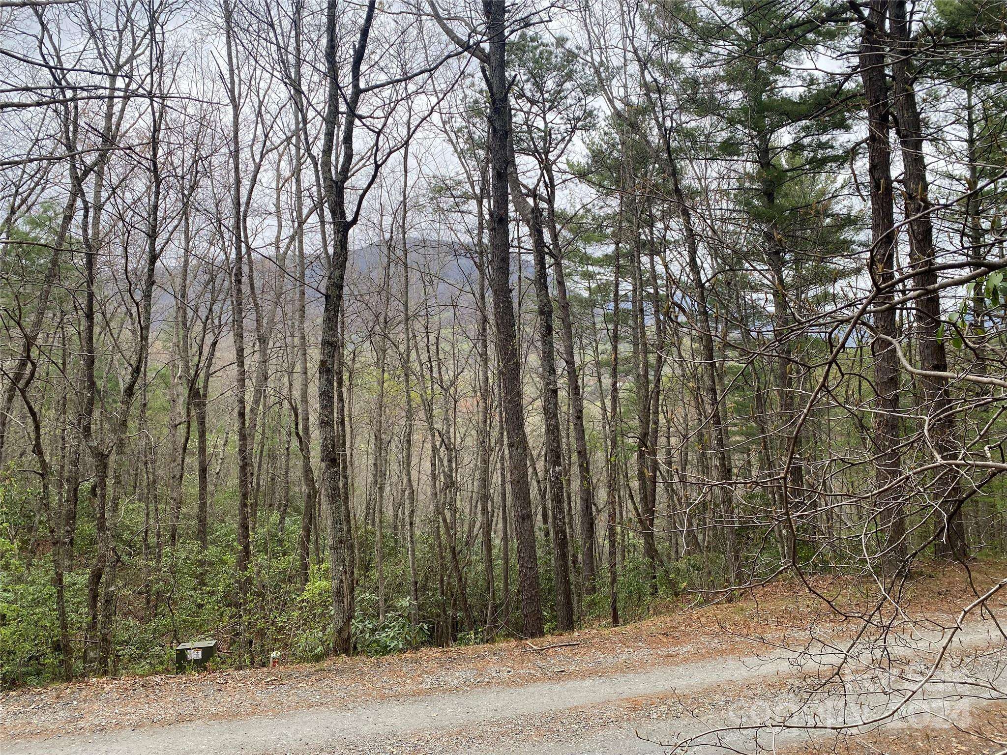 Marion, NC 28752,Lot 11 Fox Ridge TRL