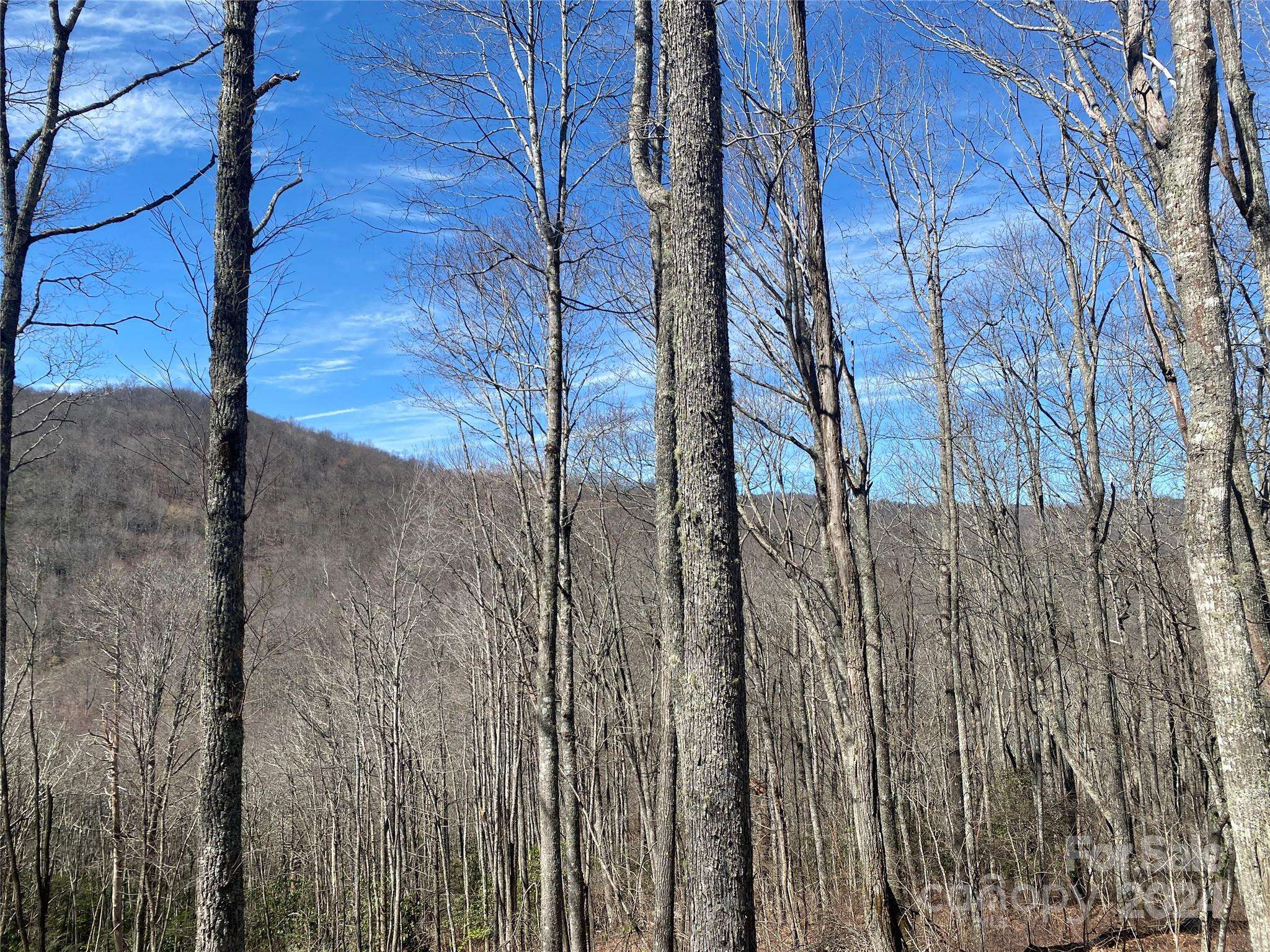 Glenville, NC 28736,Lot C23 Roaming RD