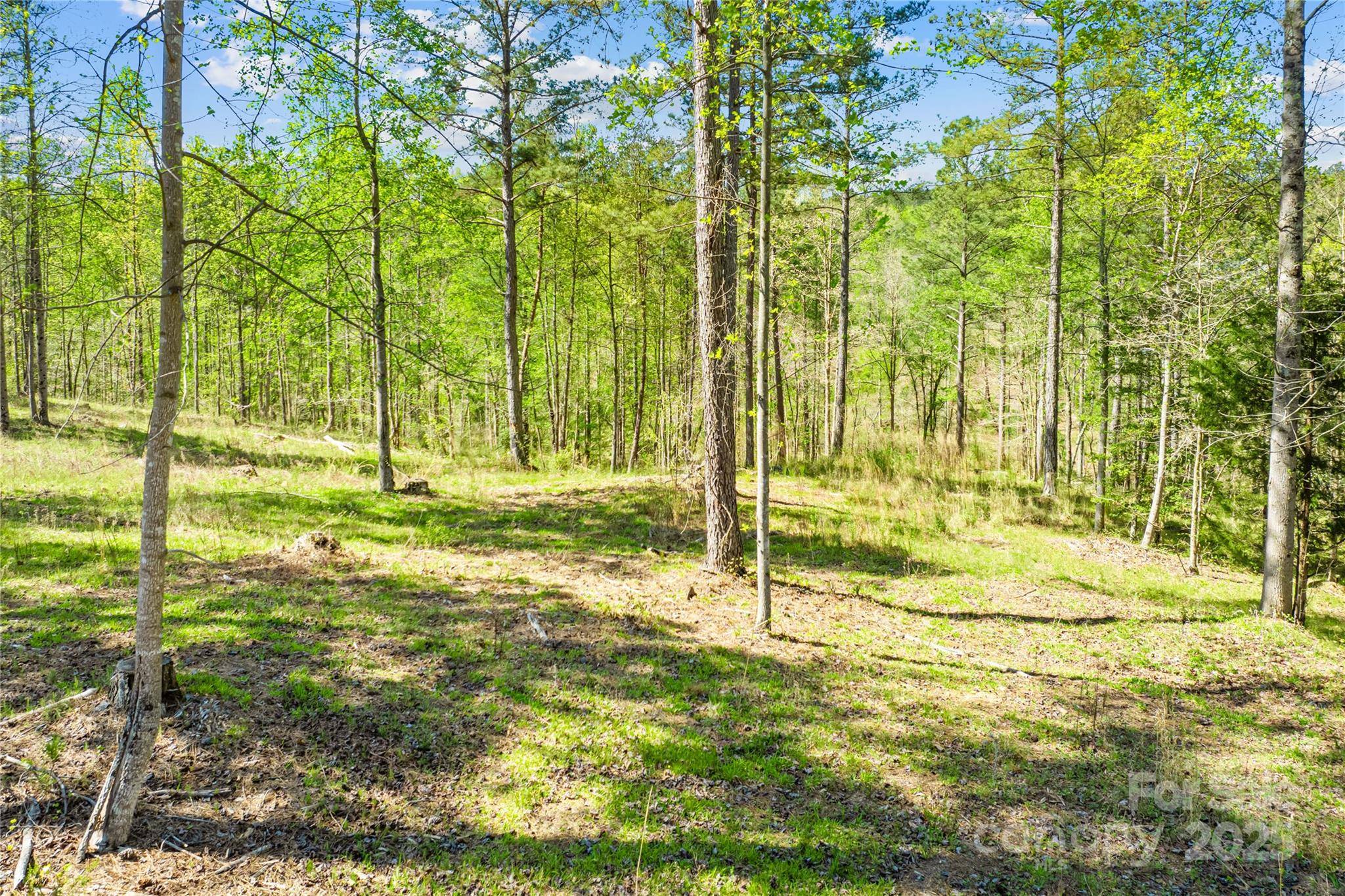 Connelly Springs, NC 28612,2106 Snowmass DR #37