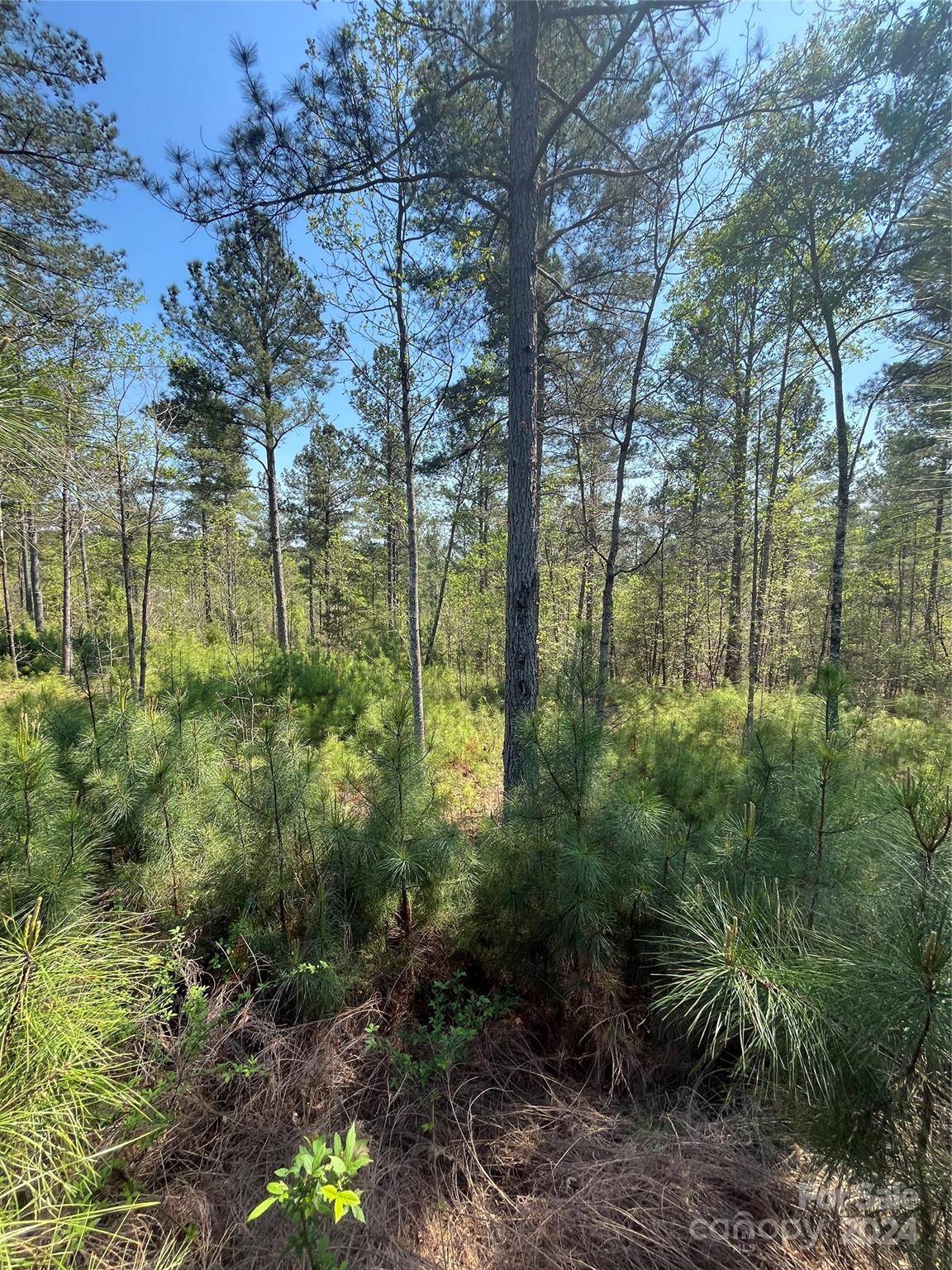 Granite Falls, NC 28630,Lot 155 Scenic LN