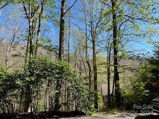 Waynesville, NC 28786,7A Chestnut Flats LN #7