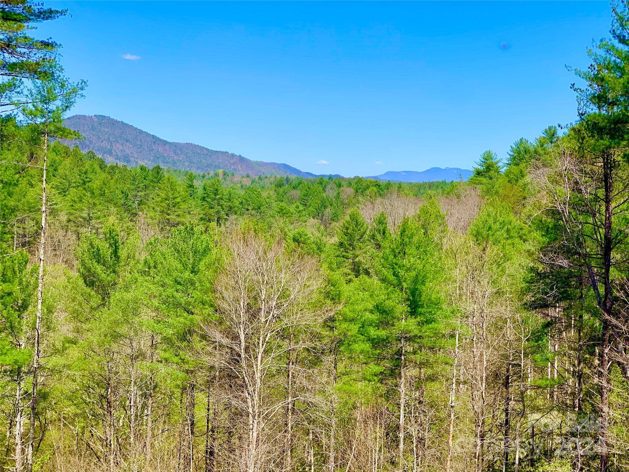 Lenoir, NC 28645,Lot 377 Table View LN #Lot 377