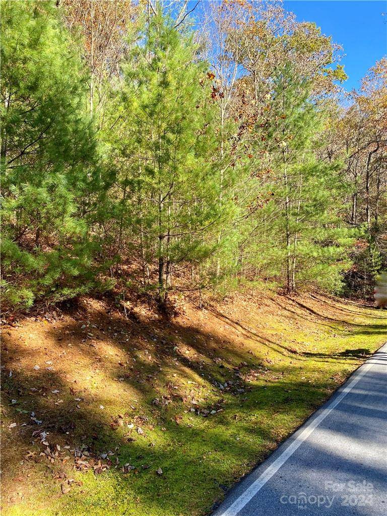 Lake Toxaway, NC 28747,0000 Hawk Mountain RD #100