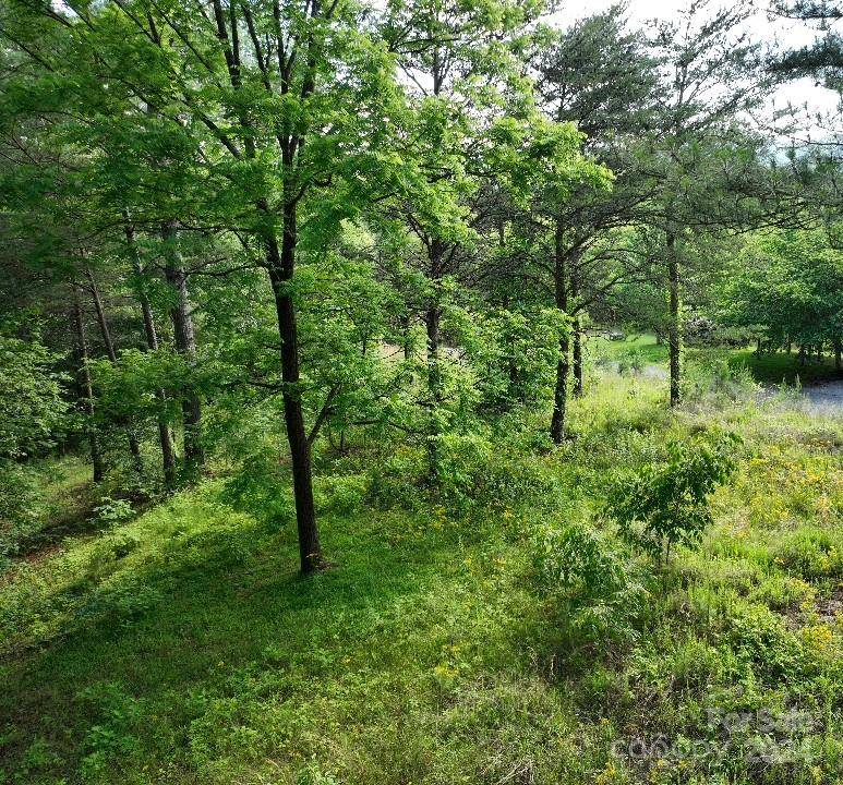 Lake Lure, NC 28746,223 (Lot 13) Easy ST