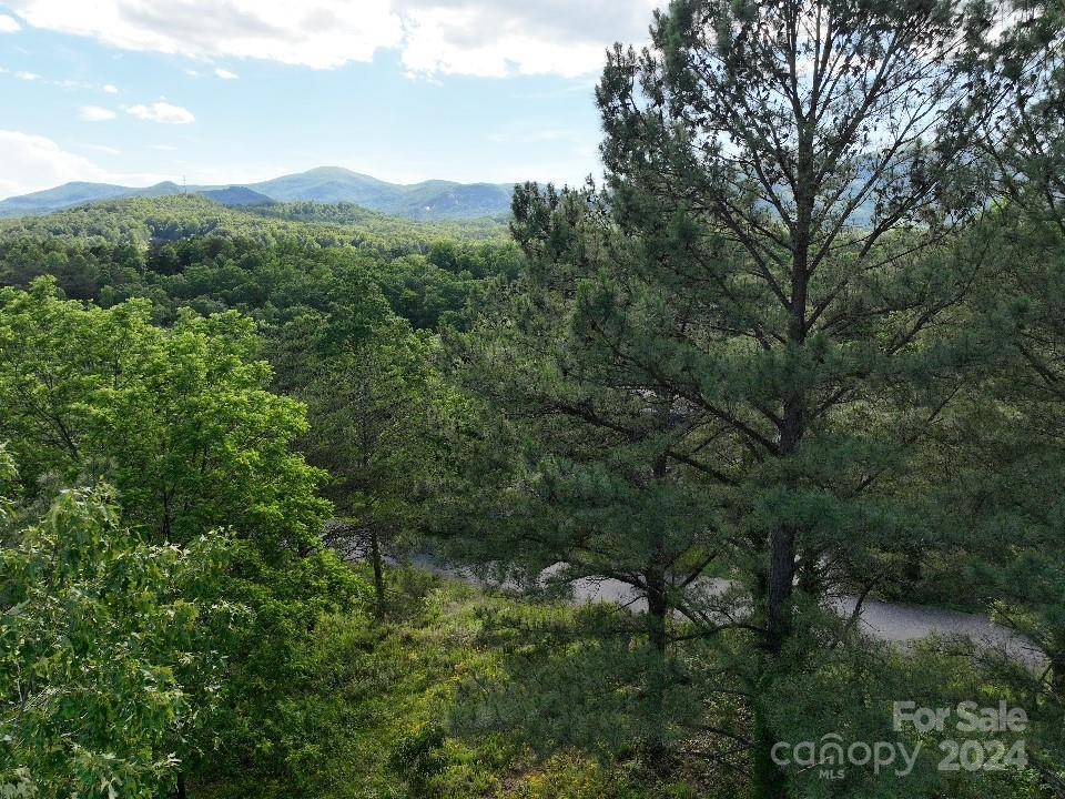 Lake Lure, NC 28746,223 (Lot 13) Easy ST