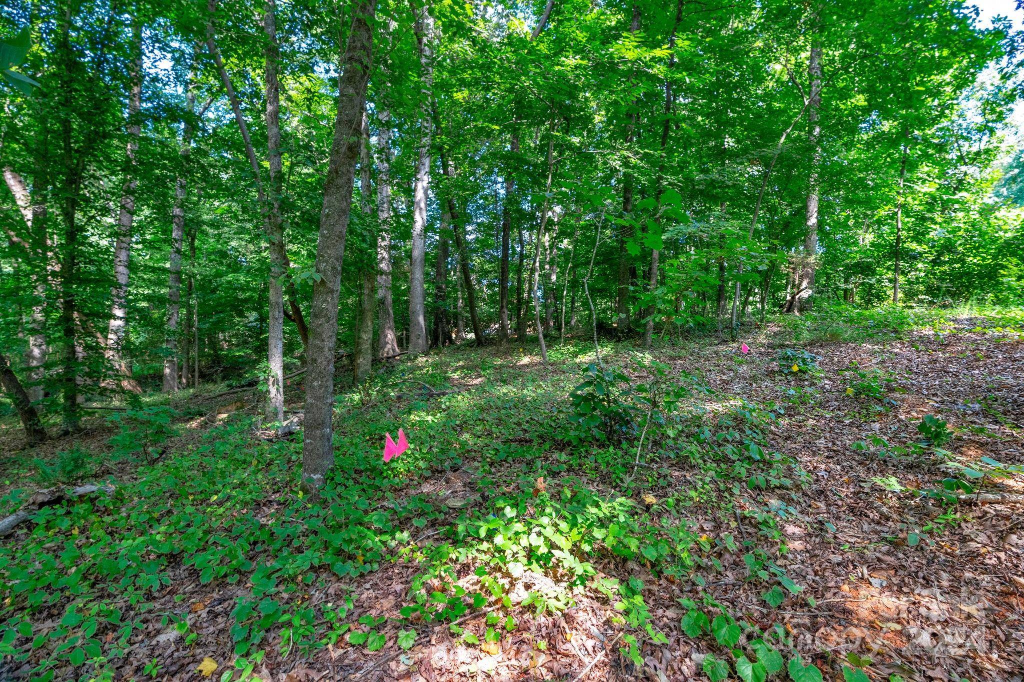 Waxhaw, NC 28173,000 Mcwhorter RD