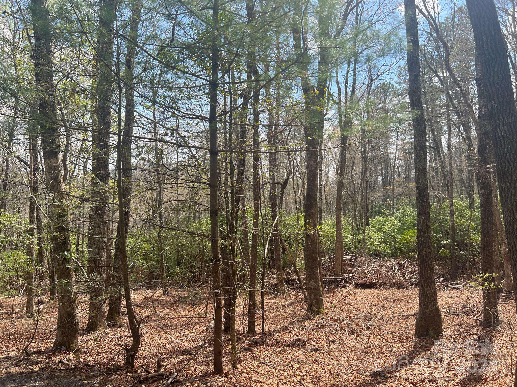 Brevard, NC 28712,999 Sequoyah Woods DR