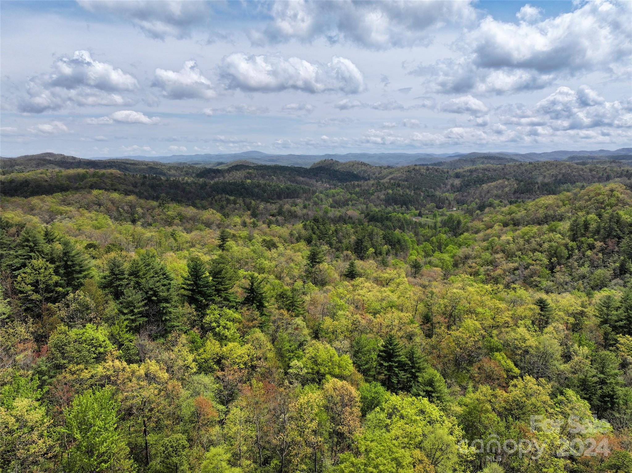 Lake Toxaway, NC 28747,5100 Homer McCall RD