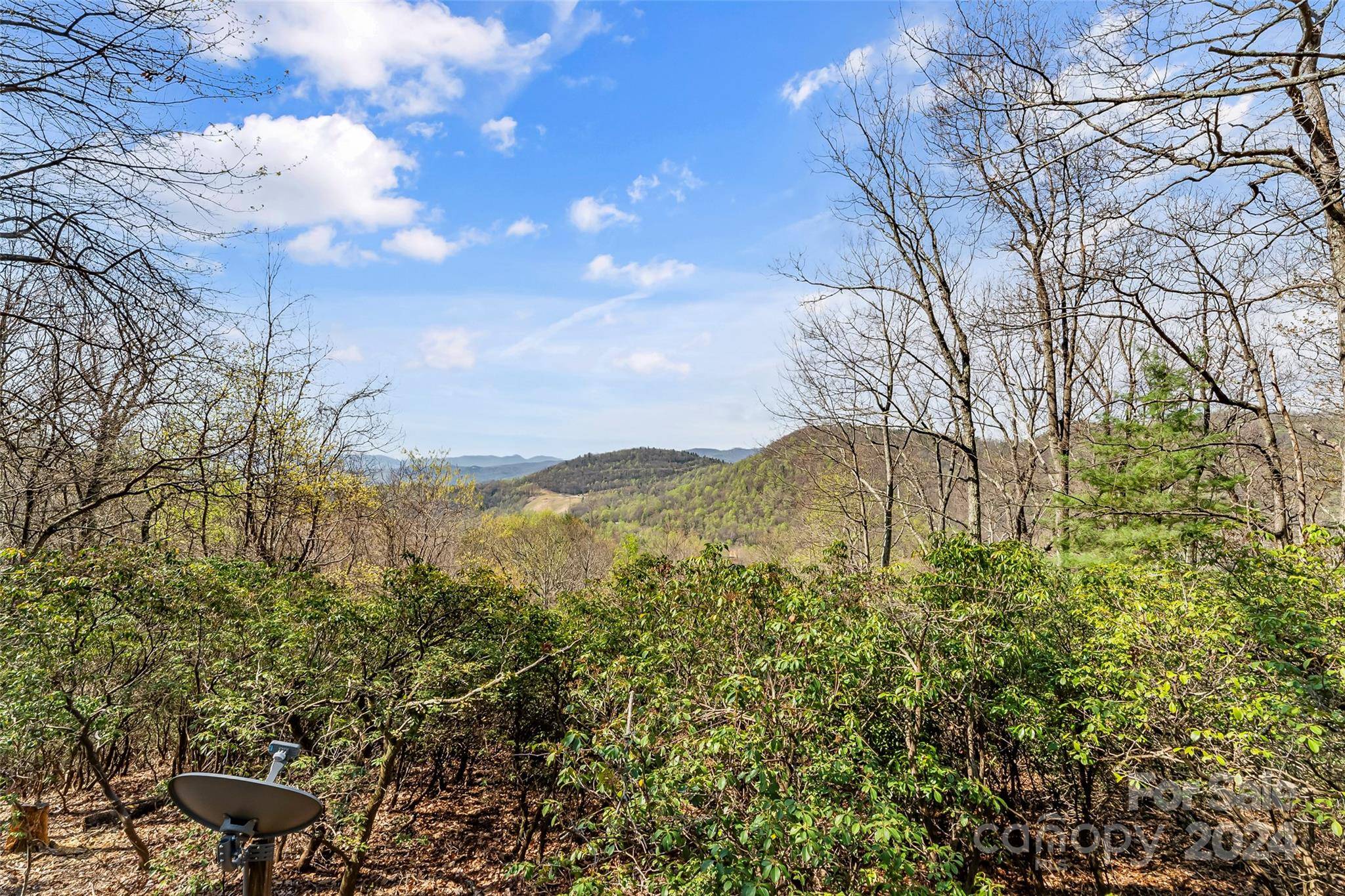 Deep Gap, NC 28618,231 Deer Oaks RD