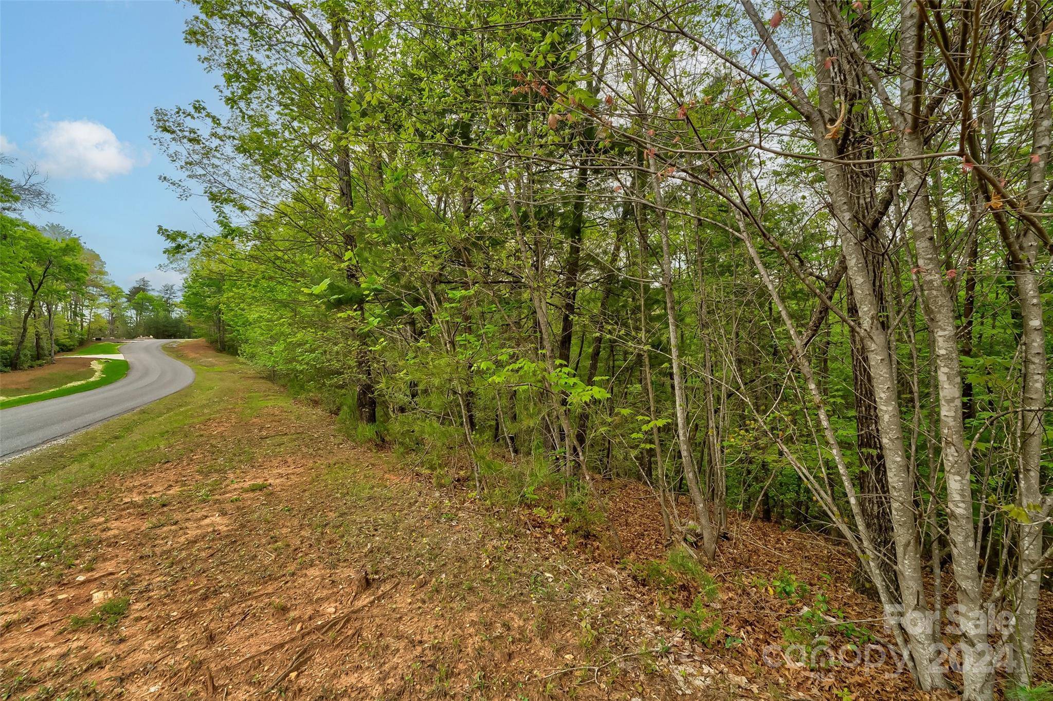 Nebo, NC 28761,619 High Trail DR