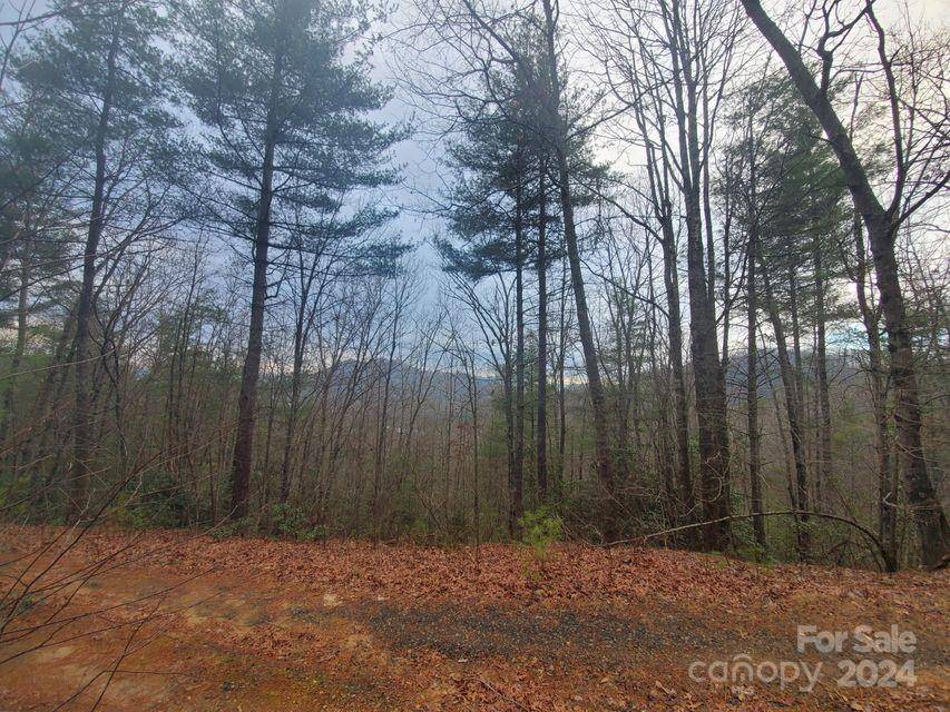 Bakersville, NC 28705,00 Elkins RD