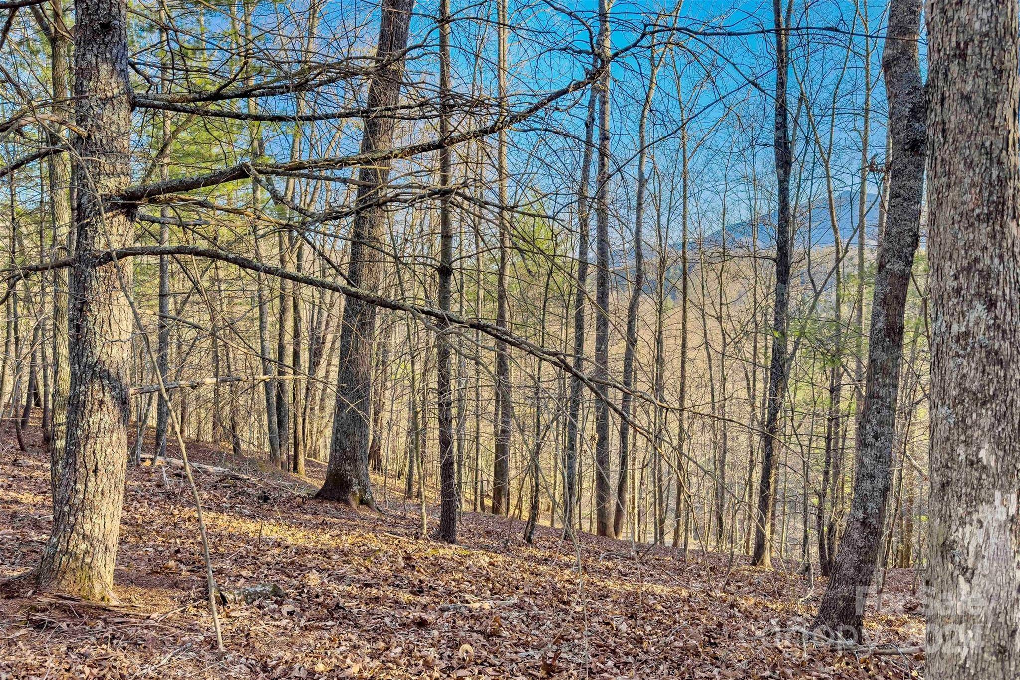Burnsville, NC 28714,Lots: 62/63/64 High Peak DR