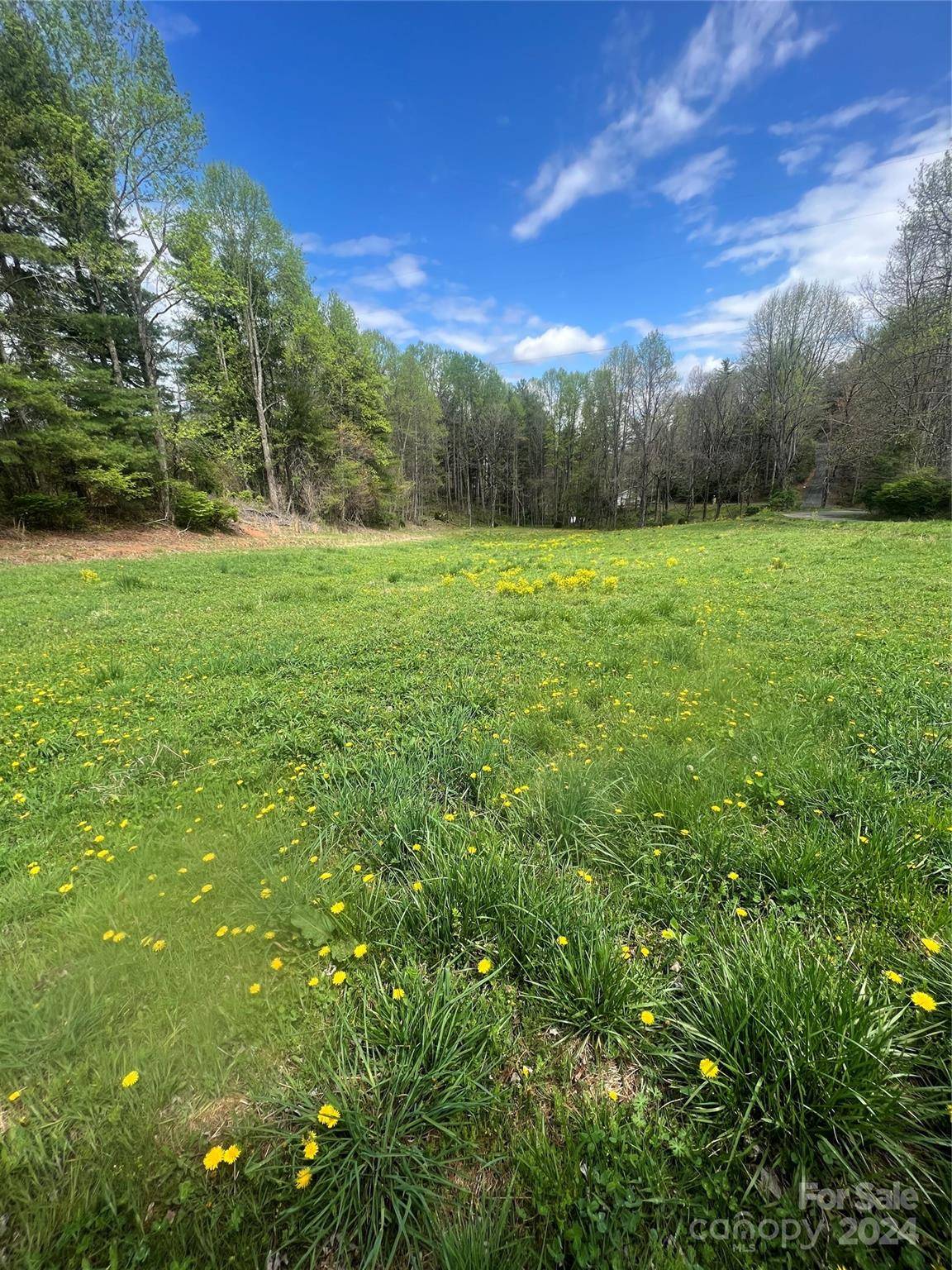 Spruce Pine, NC 28777,00 Halltown RD