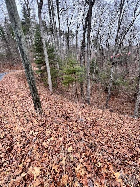 Almond, NC 28702,40 Bee Gum RDG