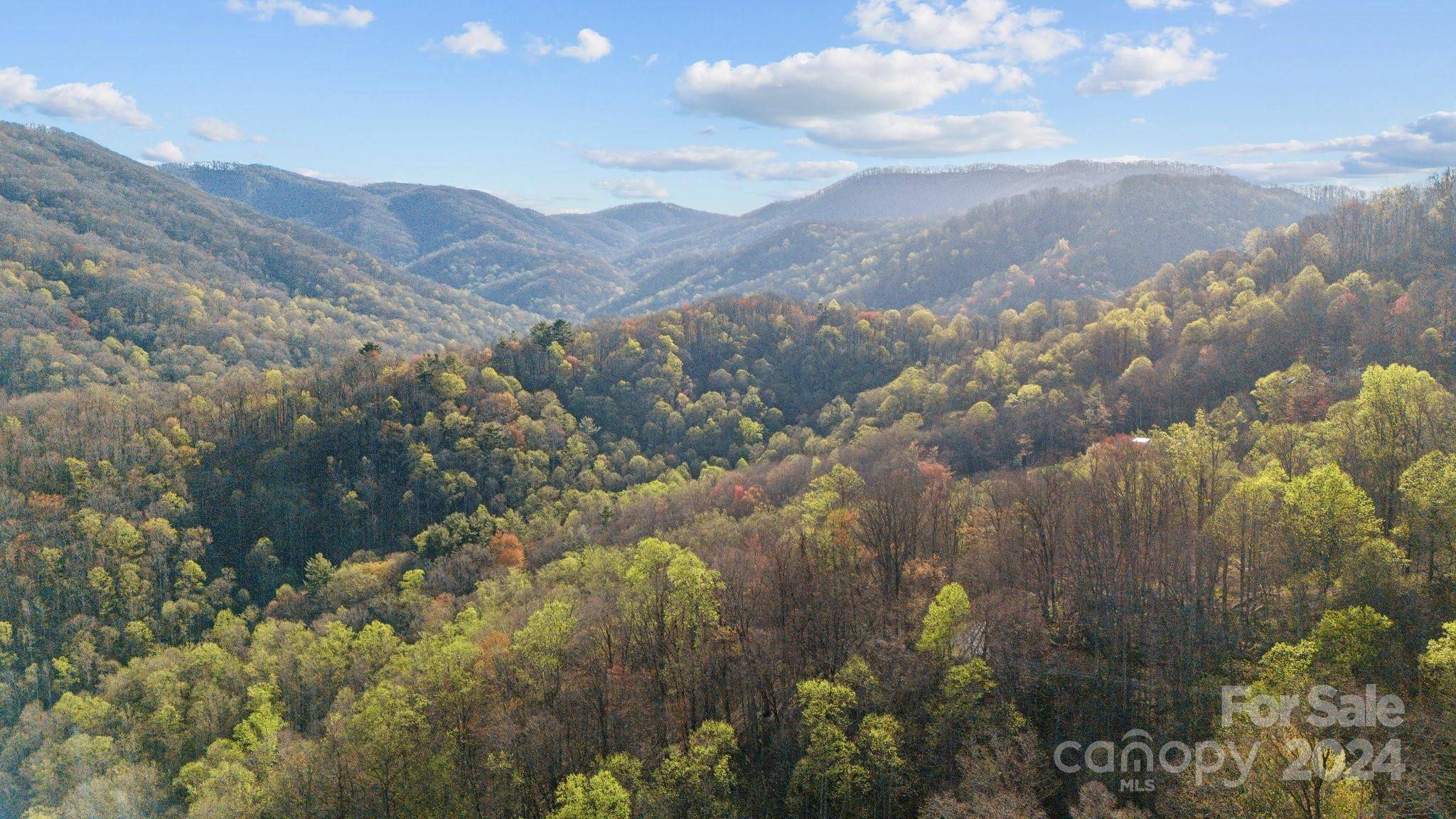 Hot Springs, NC 28743,Lot 33 Deer Rock RD