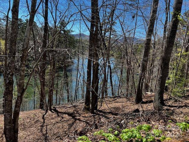 Mill Spring, NC 28756,Lot 18 Summer LN