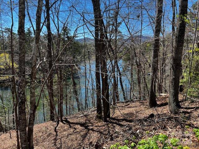 Mill Spring, NC 28756,Lot 18 Summer LN