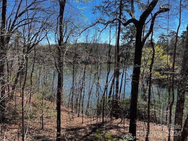 Mill Spring, NC 28756,Lot 18 Summer LN