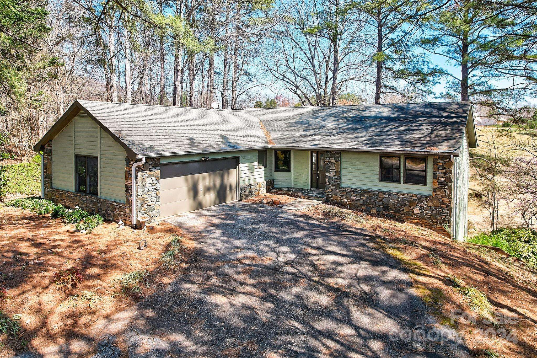 Lake Lure, NC 28746,225 Sheepnose DR