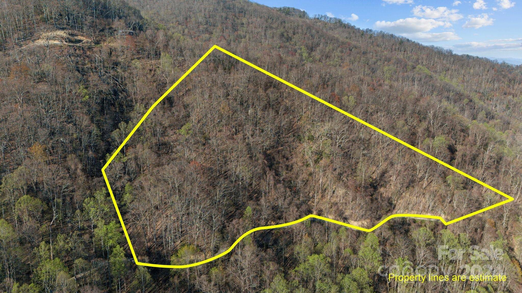 Hot Springs, NC 28743,Lot 25 Deer Rock RD