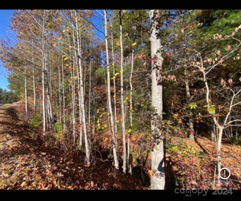 Nebo, NC 28761,Lot 18-15 Waters Edge DR