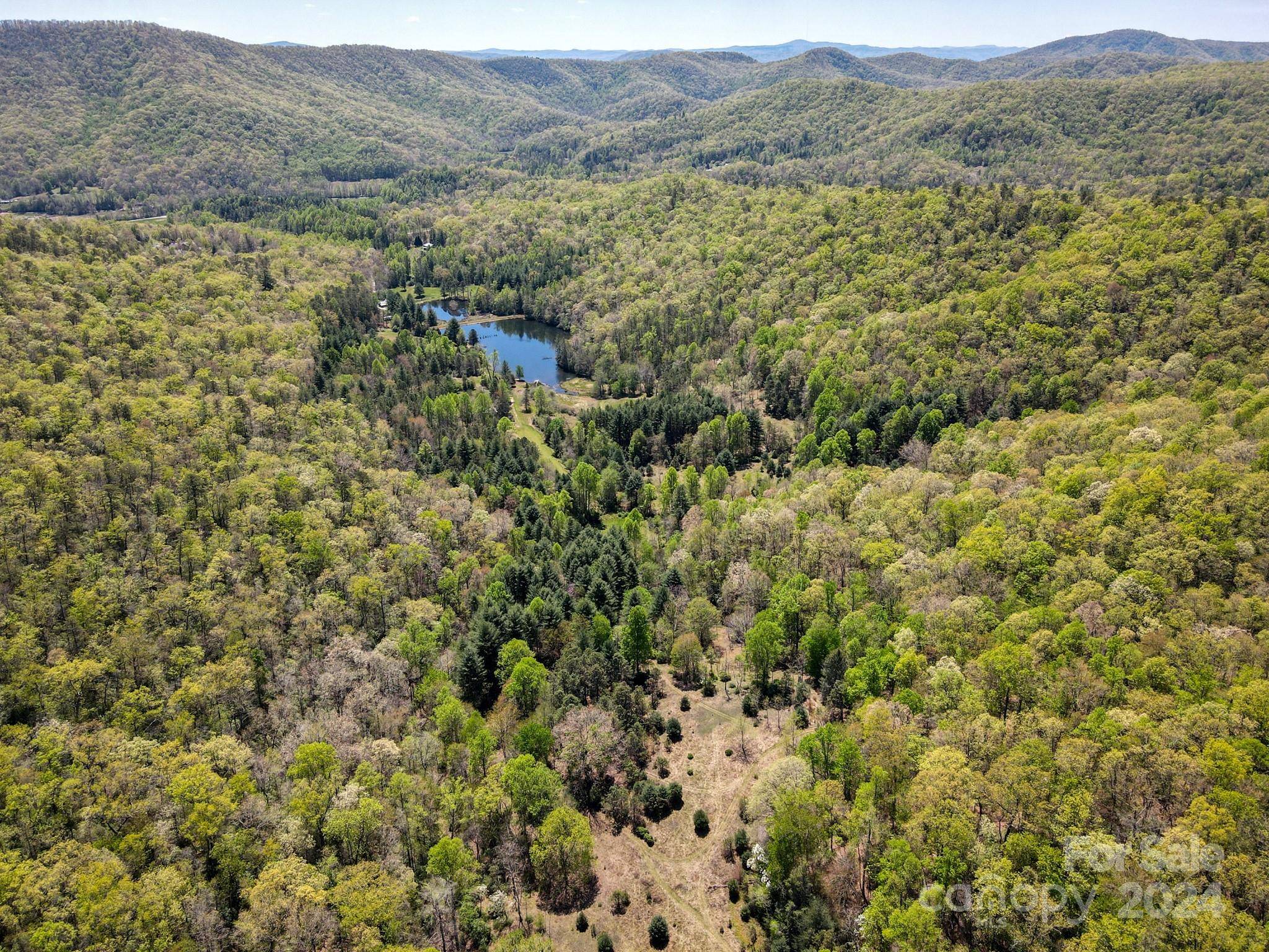 Horse Shoe, NC 28742,000 Davey Branch RD