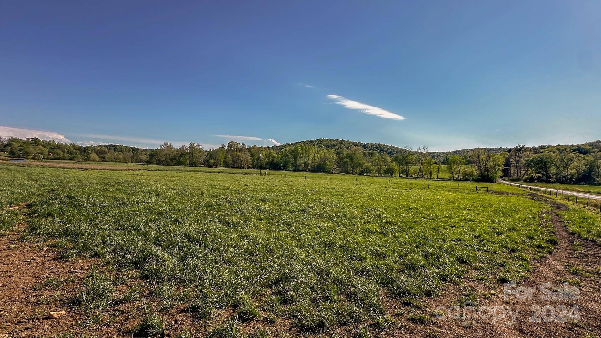 Purlear, NC 28665,TBD Parsonsville RD