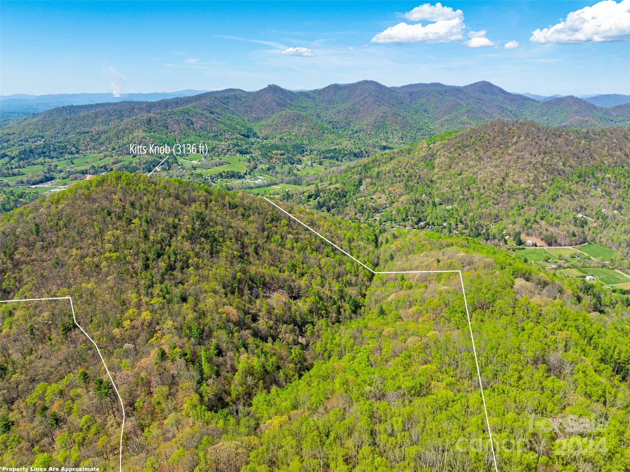 Weaverville, NC 28787,99999 Ox Creek RD