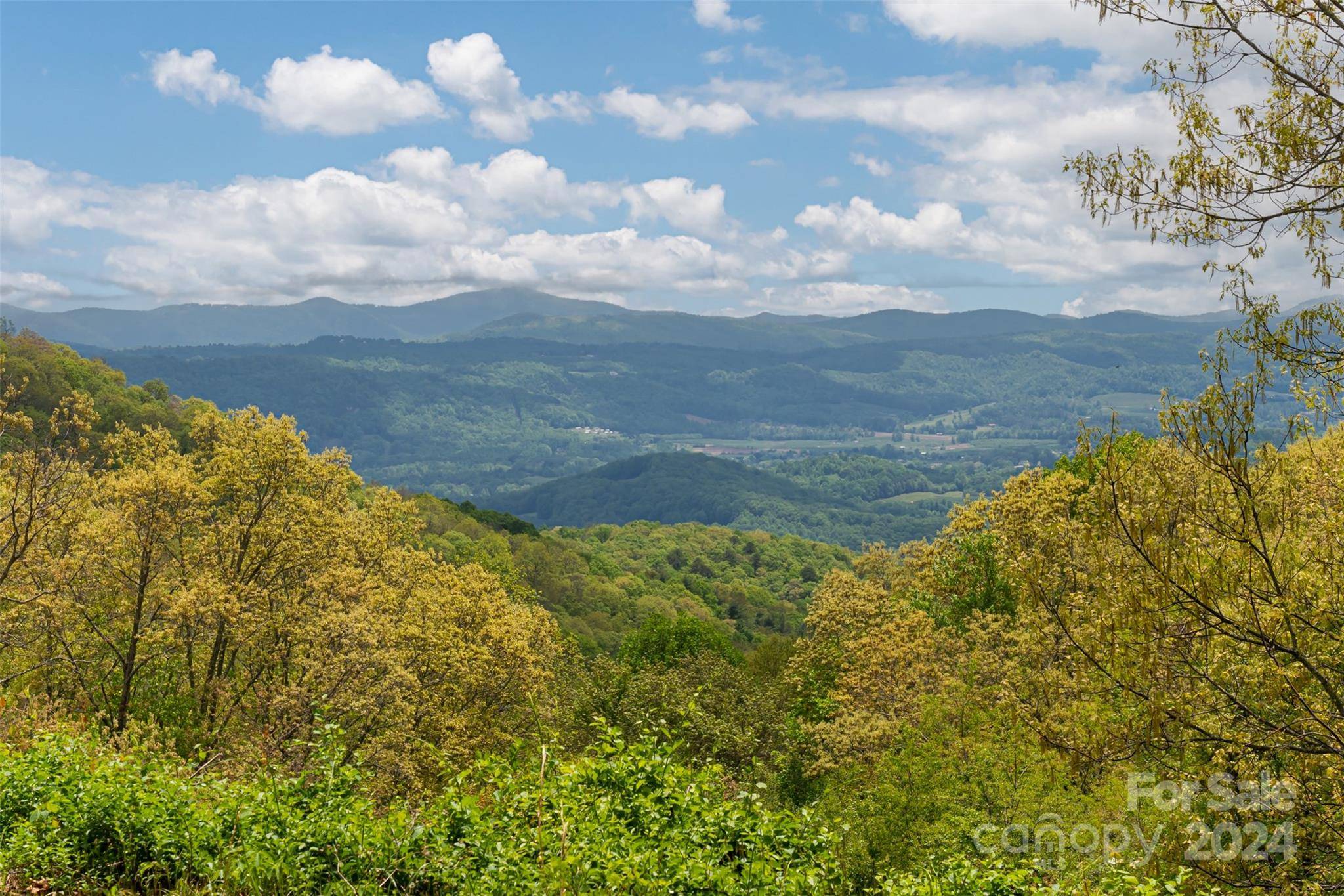 Hendersonville, NC 28792,4642 Bearwallow Mountain RD