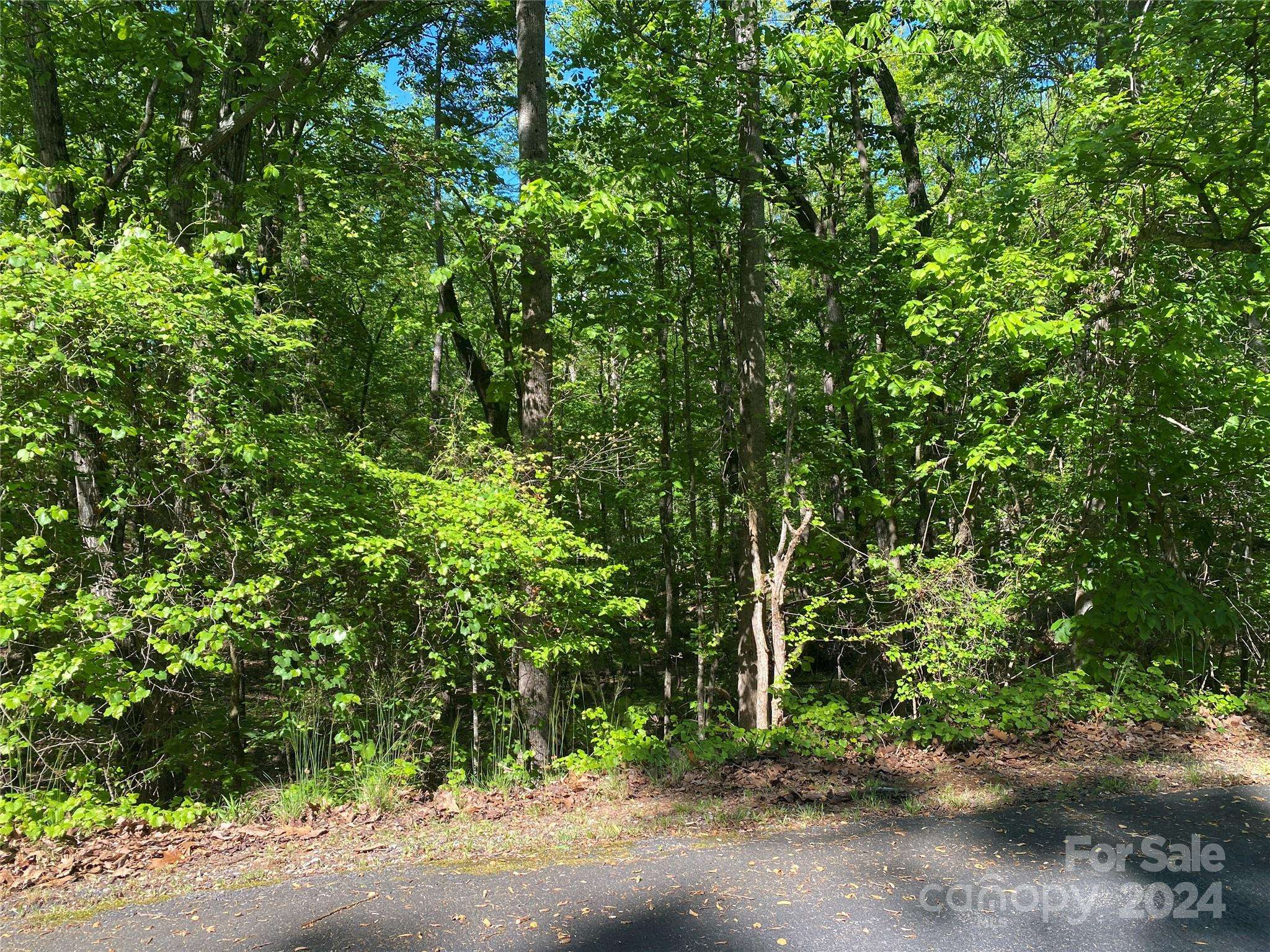 Westminster, SC 29693,Lot 1964 Cheyenne DR