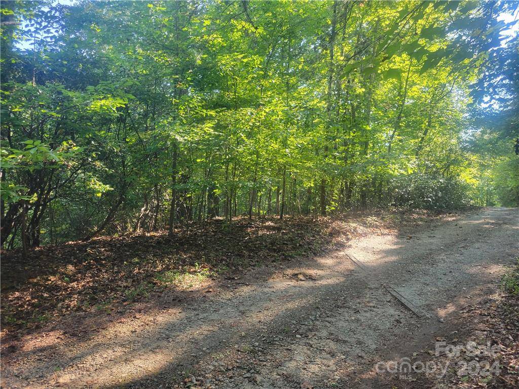 Tryon, NC 28782,Lot 5 Appaloosa LN #5