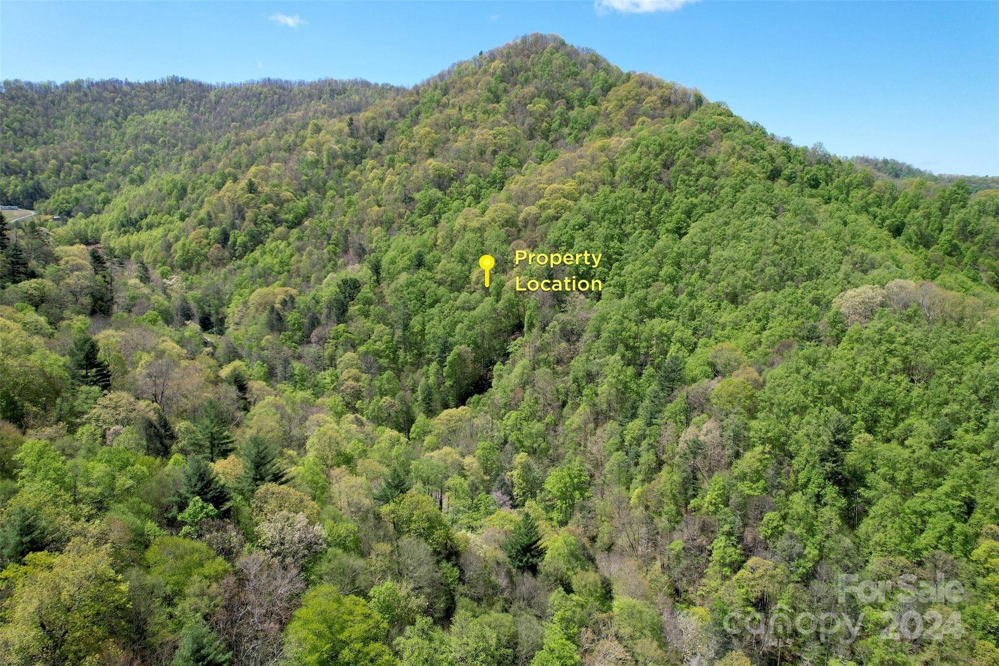 Marshall, NC 28753,33.7 +/- Acres Jarrett Cove RD