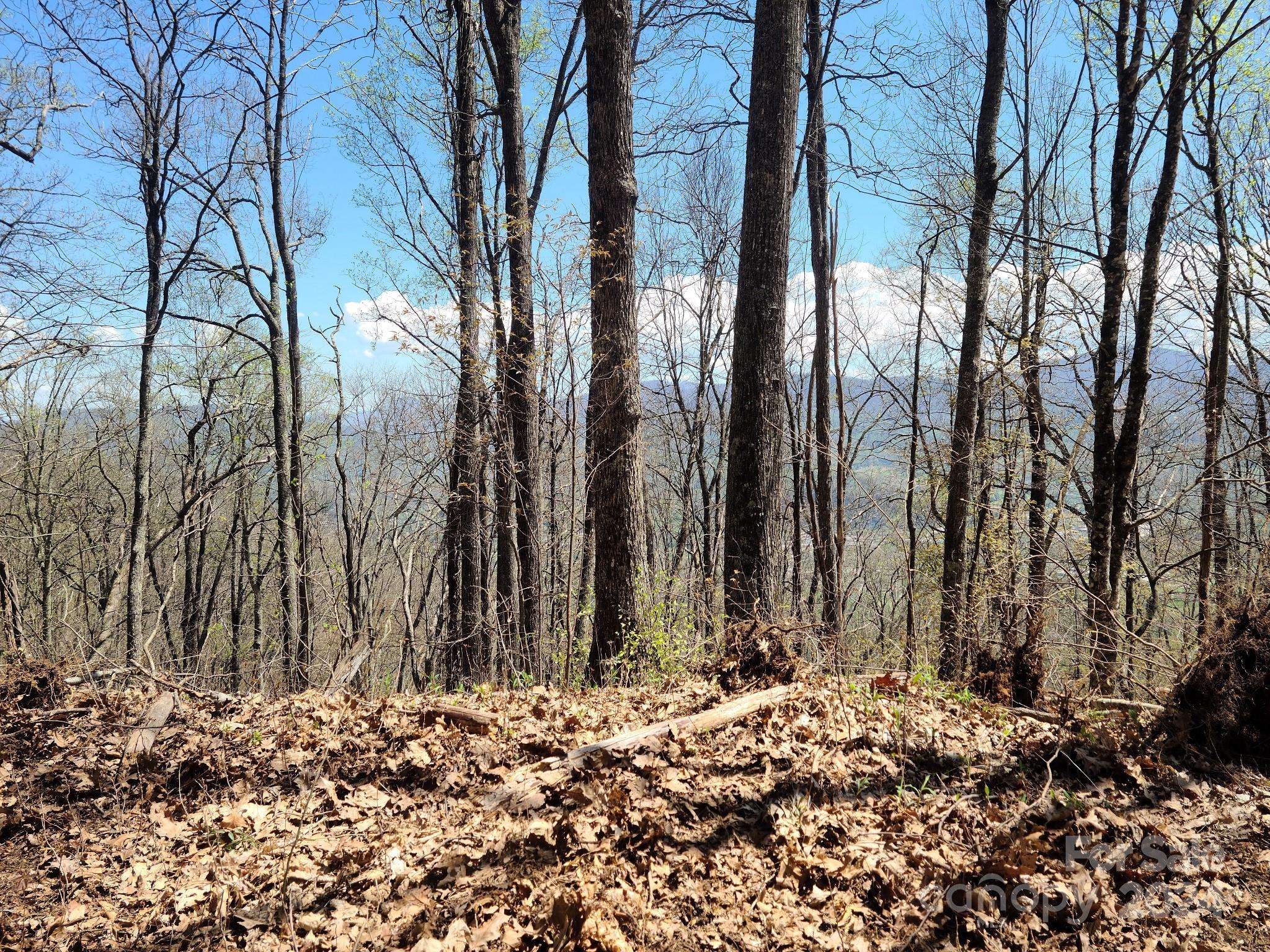 Waynesville, NC 28786,000 Skyline DR