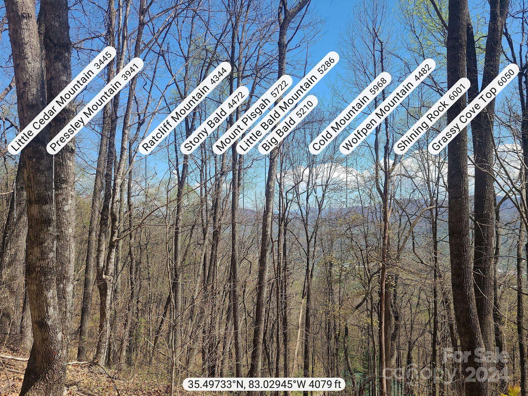Waynesville, NC 28786,000 Skyline DR