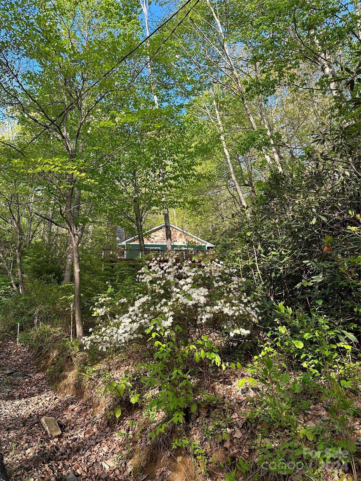 Black Mountain, NC 28711,1625 Mountain Cove RD