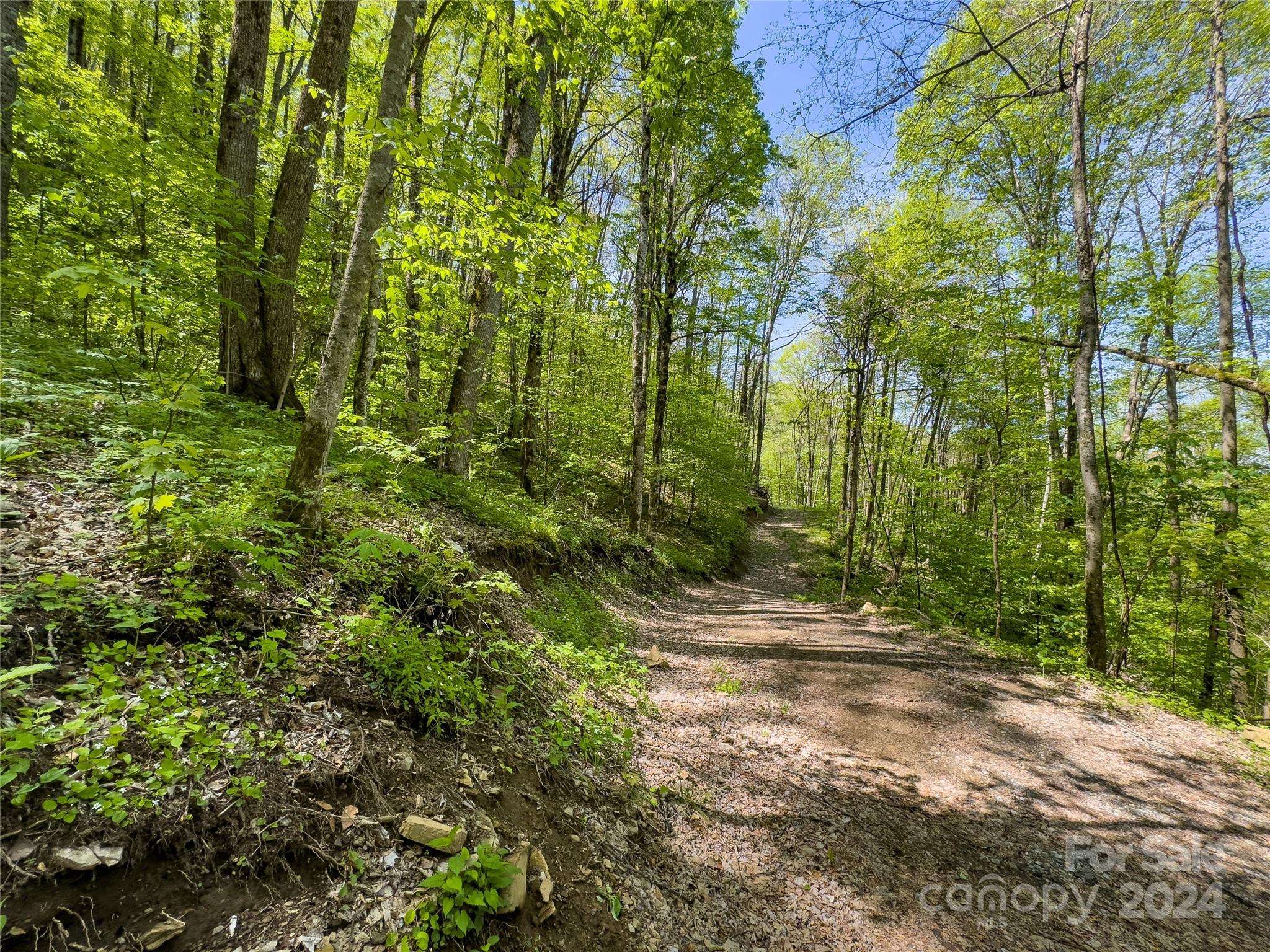 Qualla, NC 28719,Lot 74 Black Rock RD #74