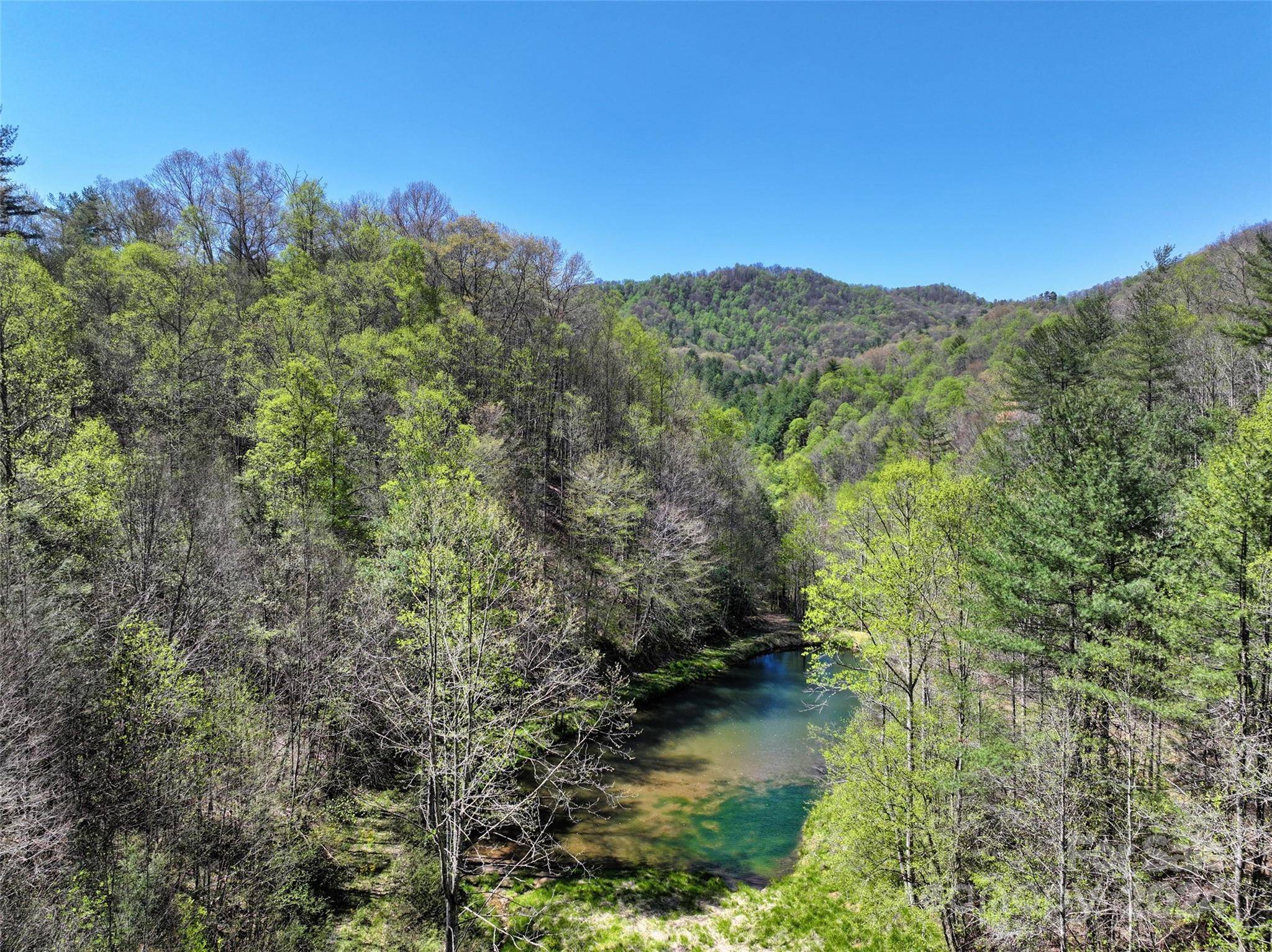 Green Mountain, NC 28740,2180 Pigeon Roost RD