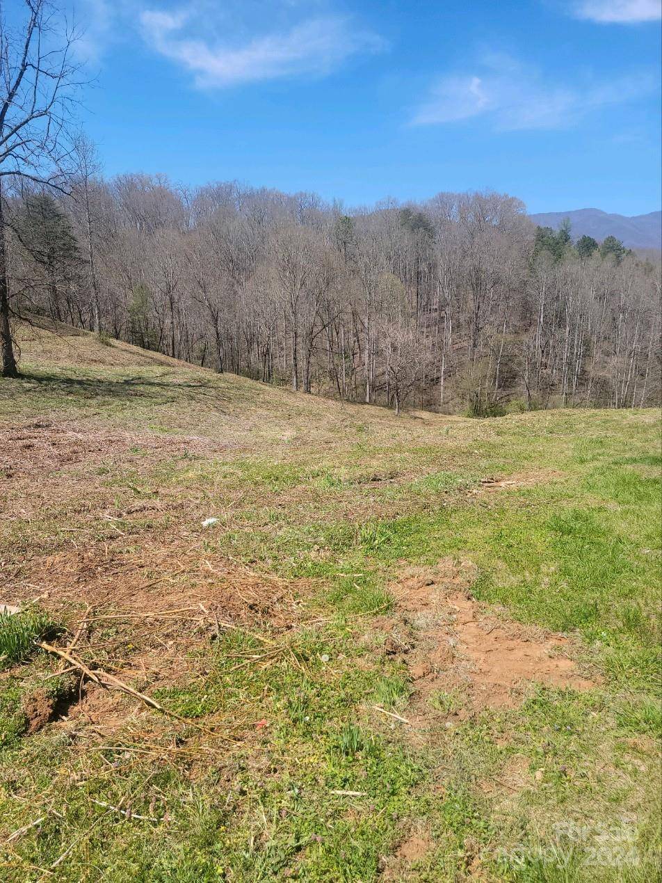 Sylva, NC 28779,174 Walter Ashe RD