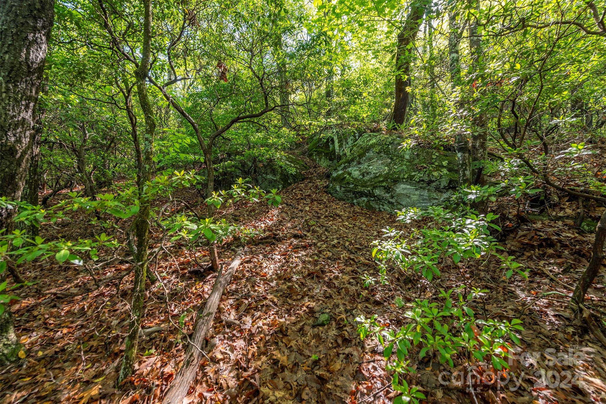 Fairview, NC 28730,99999 Red Oak Forest RD #1418