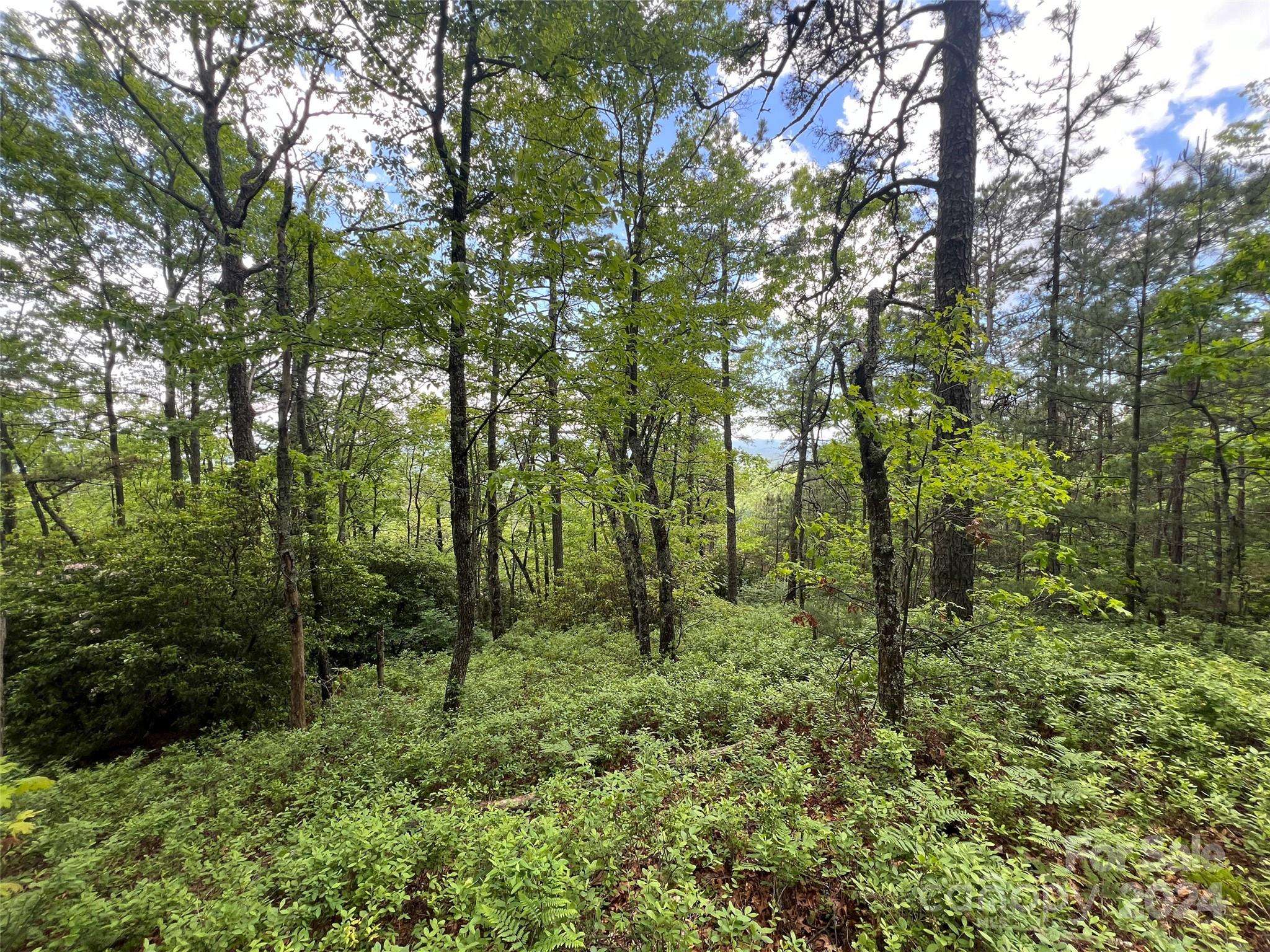 Pisgah Forest, NC 28768,999 Old Ivy LN