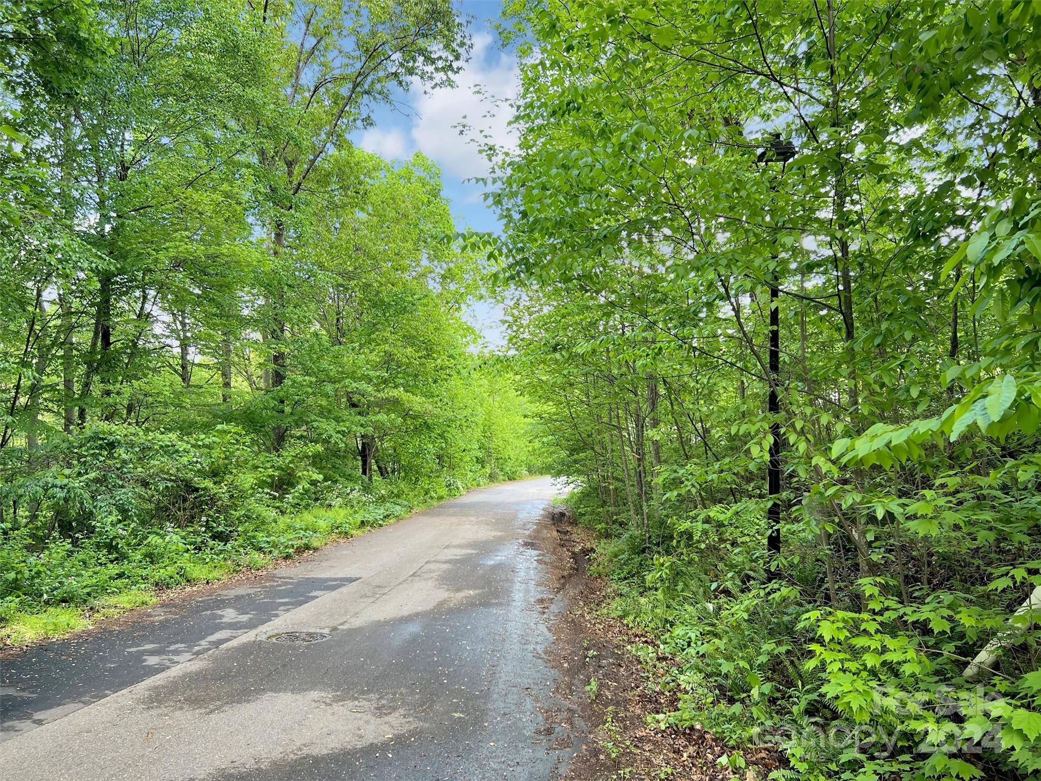 Lake Junaluska, NC 28745,L# 102 Hoosier CT #102