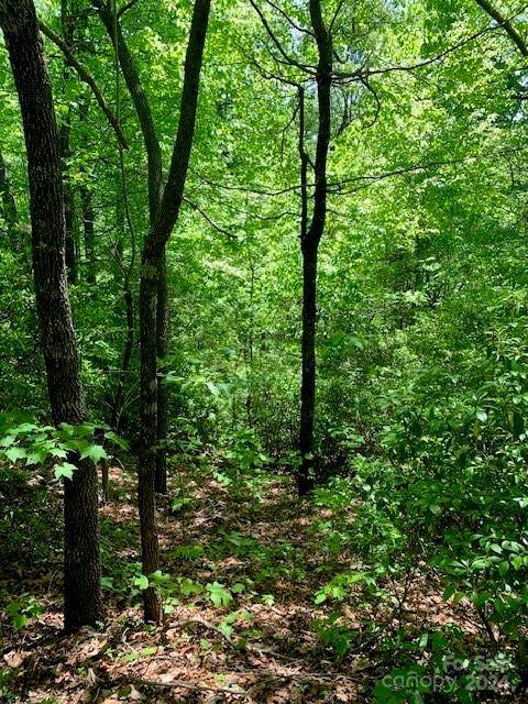 Old Fort, NC 28762,Lot 742 Rhododendron DR #742